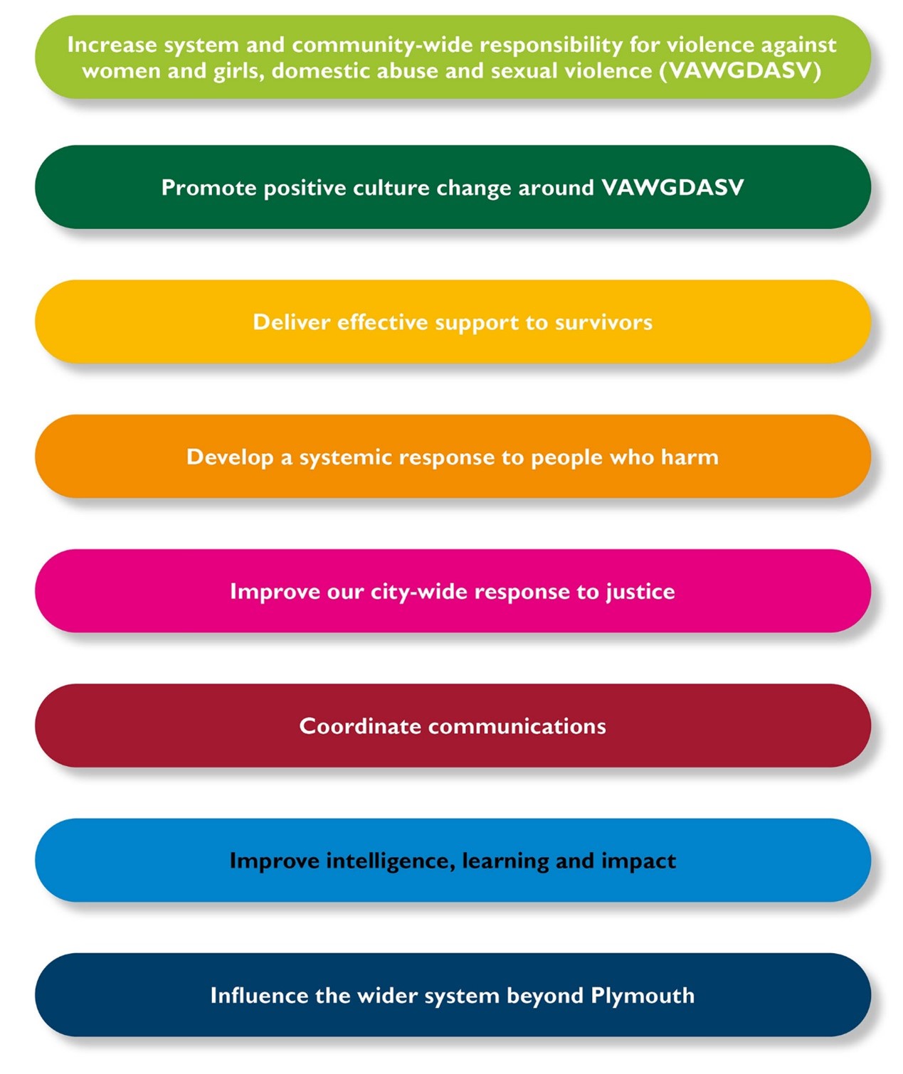 Plymouth DASV Statutory Partnership Board aims infographic